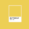 Buttercup